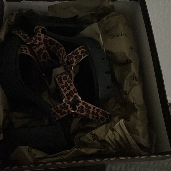 Vast Sandal
CHARLES BY CHARLES DAVID - Picture 7 of 8